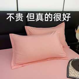 跨境爆款2024新款枕套  可水洗纯色亲肤芦荟棉水洗棉单枕头套批发