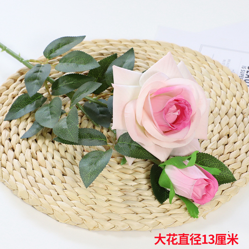 핑크 두 머리 장미 5 가지