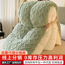 加厚保暖塔芙绒冬被羊羔绒被子单双人学生宿舍牛奶绒被芯厂家批发