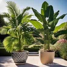 GֲB滨ֲ٘߶˿͏dؔ[쾰