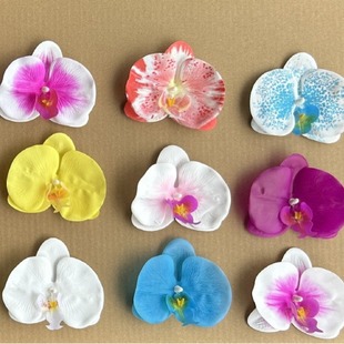 �����m���^���䣬����c�ҾӔzӰ��̖�b����ܻ������滨��