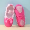 Calme rose red