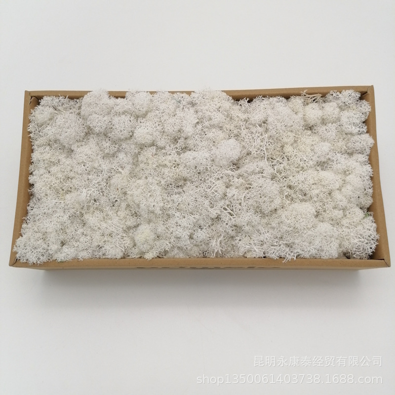 Musgo al por mayor de musgo peso neto 200g caja de regalo flores de musgo eternas accesorios para el hogar tiro ventas directas de la fábrica