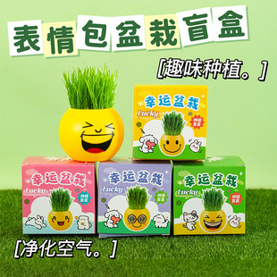 ЦĘ����Diy���� �L�����޹�ˇƷ΢���^�b�Ʒ����ֲ�ﻨ�׻���B