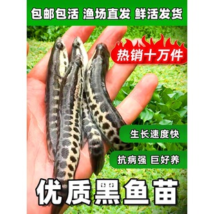 ���~����w��ˮ�Bֳ���~�����~��ؔ�~���^�p�~���B���~���s�����w