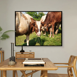 ţ���^�b��������^��偵��������쮋��ţ�Sţ�ɹűڮ�