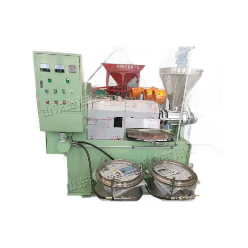 Prensa de aceite de tornillo pequeño Prensa automática de semillas de camelia de acero inoxidable Prensa de aceite de maní de molino de aceite eléctrico