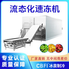 可定制厂家直销CBFI卧式单冻机流态化速冻机小酥肉隧道速冻机