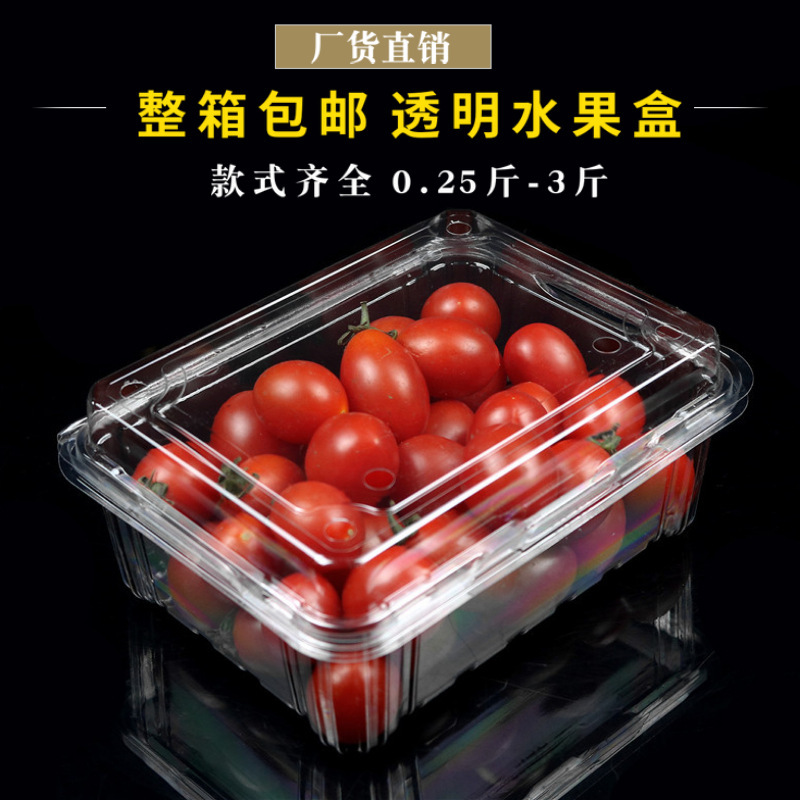 Disposable Fruit Packaging Box Transparent Box Rectangular 1.0kg Pack 500g Cherry Box Plastic Strawberry Box with Lid Disposable Fruit Packaging Box Transparent Box Rectangular 1.0kg Pack 500g Cherry Box Plastic Strawberry Box with Lid