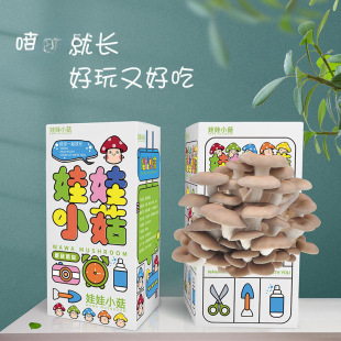 ƽ���������Nʳ�ô��b��Ģ���Nֲ�����̨Ȥζ���b��ͯ