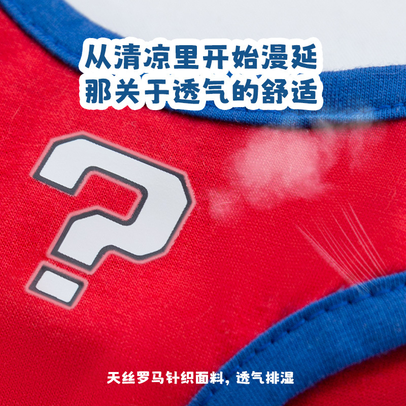 Primavera y verano nuevo estilo perro multifacético jugador serie falda gato chaleco de dos patas peluche bichón ropa para perros