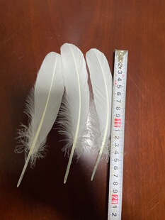 �F؛���� ��ë����ë ӡ����ë�� ��ë�Zë��ë16-25cm ��ɫ����