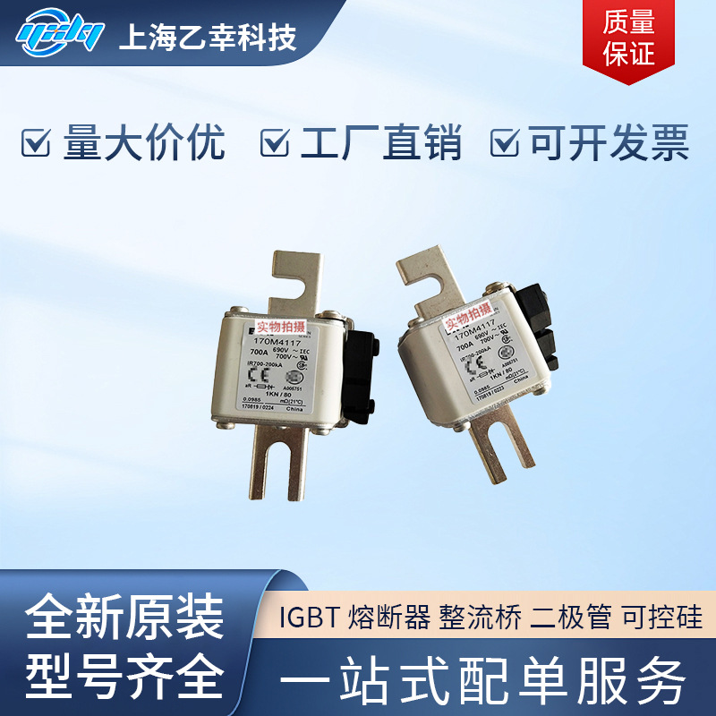 巴斯曼熔断器  170M4169 170M4170 170M4171 170M4174 170M4176