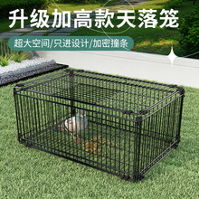 ����\����ֻ�M�������ӻ\ײ�T�\��j�T�Ԅӻ����������������u�\