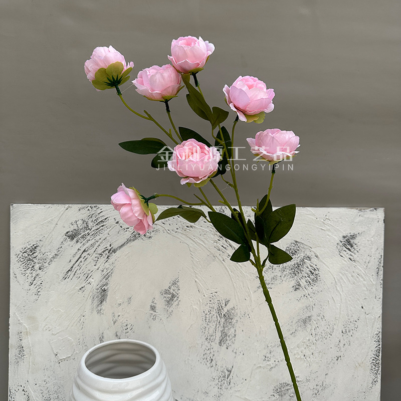 Pink exquisite peony