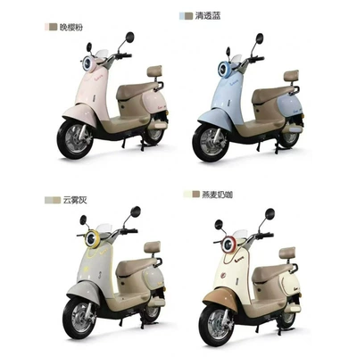 Small Retro-Style Electric Motorcycle 60V Mobility Scooter Battery Car 72V High-Speed Long-Distance Electric Vehicle Imitation (Elektrikli motosikletlər) - four-colors-20ah-3c-certificate-car-purchase-gift-package-48v-20a-lead-acid-battery
