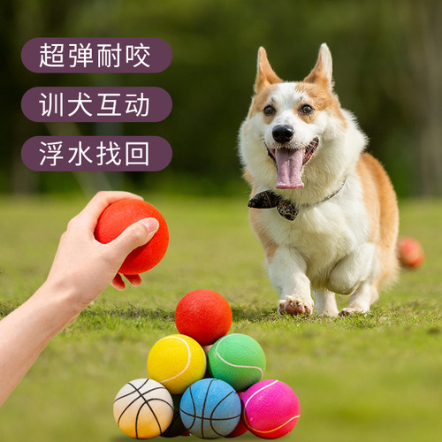 Pet Toy Ball Wholesale Teeth Resistant Solid Ball Teddy Golden Retriever Training Interactive Basketball Softball Dog Toy