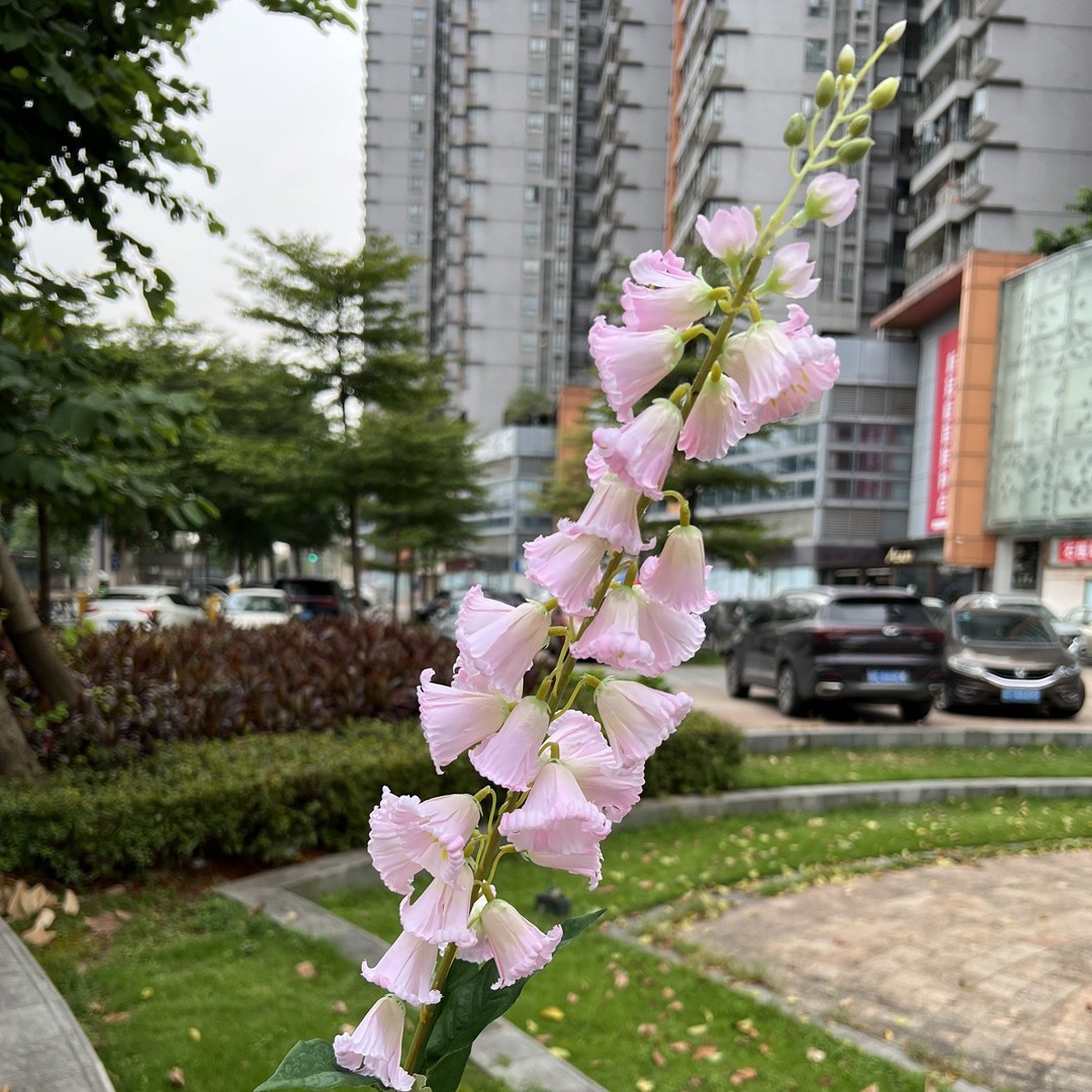 Simulación del Día de San Valentín rosa fabricante 3 sola rama multi-cabeza rosa decoración de la boda flor falsa al por mayor