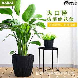 �F����֬���پ����͏d�Gֲ��ɫ������؟o�׻�Ƥ�m�������̖����