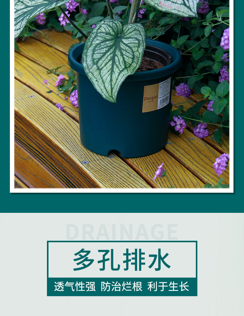 deepot详情_03.jpg