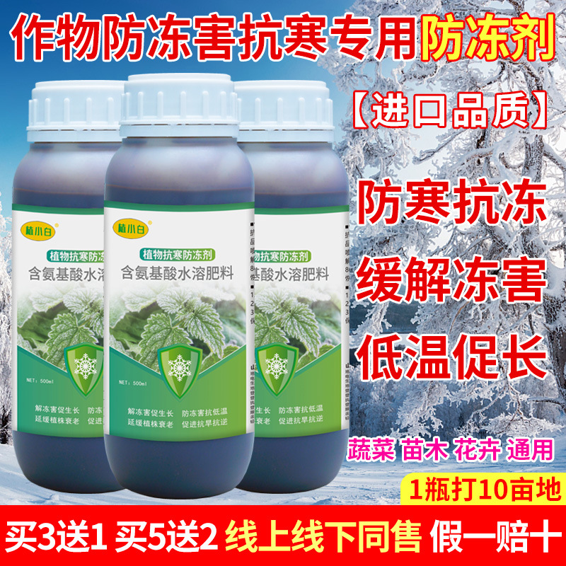 植物防冻剂市政防冻剂蔬菜花卉苗木通用公路倒春寒防冻液门口过冬