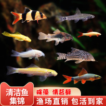 ������^�p�~���w��̦���~���坍���幤��С�͵�ˮ���B�����~����