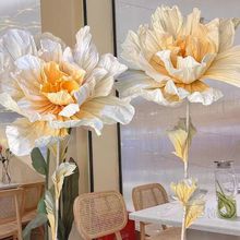 �㙉ϵ��Y���ͻ���b����̈�������ꐴ������w�������÷��滨