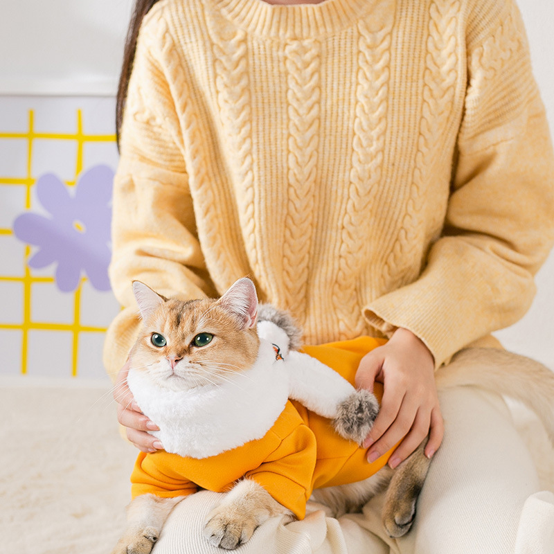 Ropa de gato con set bufandas otoño y invierno camisetas de lana delgada cachorro perro pequeño cachorro ropa de dos patas ropa de mascotas