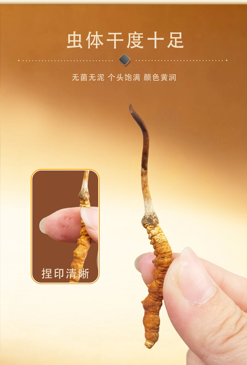 Premium Cordyceps Sinensis Gift Box Dried Tibetan Cordyceps for Traditional Herbal Soup key features