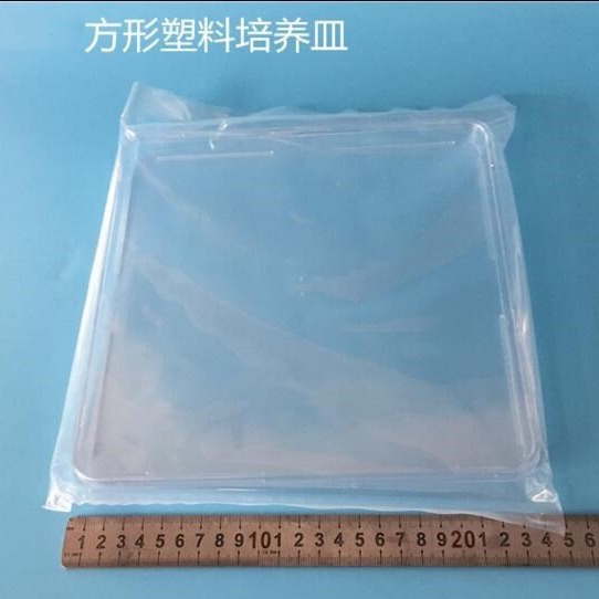 250*250mm方形细胞培养皿 240*240mm 菌体平皿 1套/包|ru