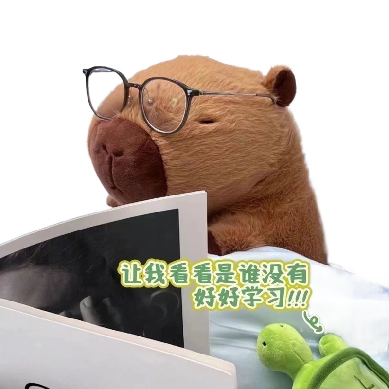 卡皮巴拉玩偶抱枕儿童毛绒玩具水豚公仔土拨鼠送女生日礼物跨境|undefined