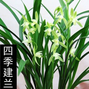 ����̖�m�����ļ����m���P���҃��k���ҾGֲ���ԝ��㮔���_���B
