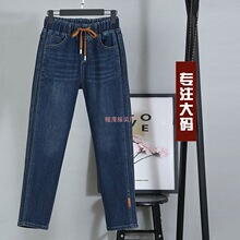 �������ţ�п�Ůʿ����2026�괺���¿��ɽ������ο������ݹ��׿�