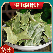 �۹��~��ș��500�˹����~���۹Ǵ̰˽Ǵ�؈���̰˽Ǵ���Ǵ̘��~