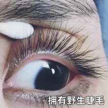 睫毛营养液浓密卷翘纤长滋润毛囊乌黑自然卷翘无泪睫毛膏滋润液