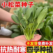 ݿ๣˷NСɲСײ˷Nԭbļ߲˷NӴȫ˷N