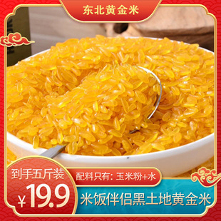 24��|���S��������خa������ճ�����Ŵ���׬Fĥ�ּZ���r���Ԯa