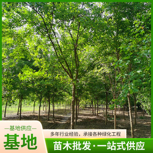 ���طNֲ�G���L���� 8���ִִ��30�������Ǘ��������Ǘ�����