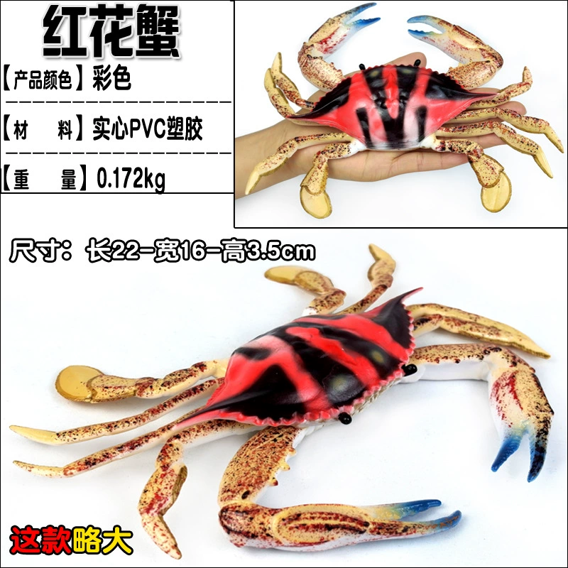 Игрушка, большие морские когнитивные украшения