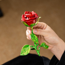 ����õ�廨��޹�t���˹��Y����滨�[���Ͻ���tС���̴��P��t