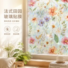 炫彩镭射玻璃贴膜静电装饰客厅透光不透人窗户隐私膜防窥窗户贴纸
