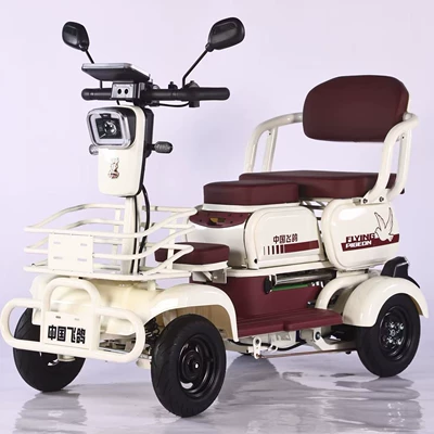Auto Parts and Accessories, Youmiou Small old age scooter