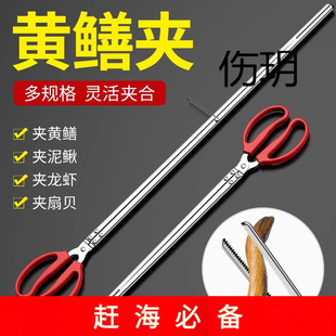 �s�����������S�X�A���X�~�Q�����q�з���Q����ץ���~׽���r����