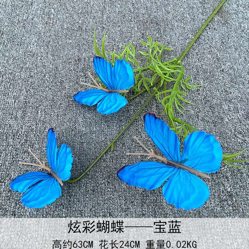 화려한 나비 사파이어 블루