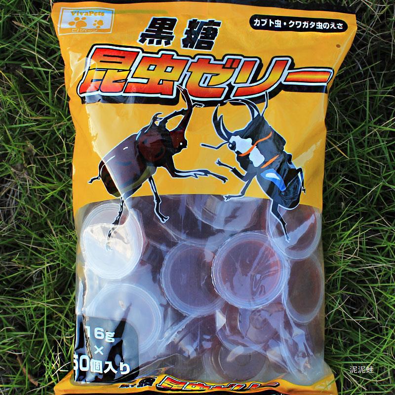 beetle insect jelly unicorn fairy adult feed spade beetle long halberd rainbow ants guard palace hermit crab food