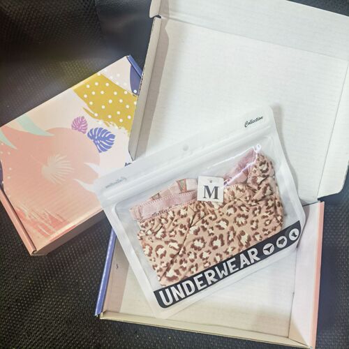 Single pair of underwear, transparent packaging bag, underwear packaging carton, airplane box