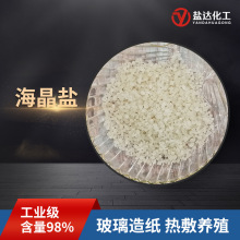 日晒海盐2-4/4-6颗粒海晶盐 热敷粗盐洗涤添加用氯化钠工业盐