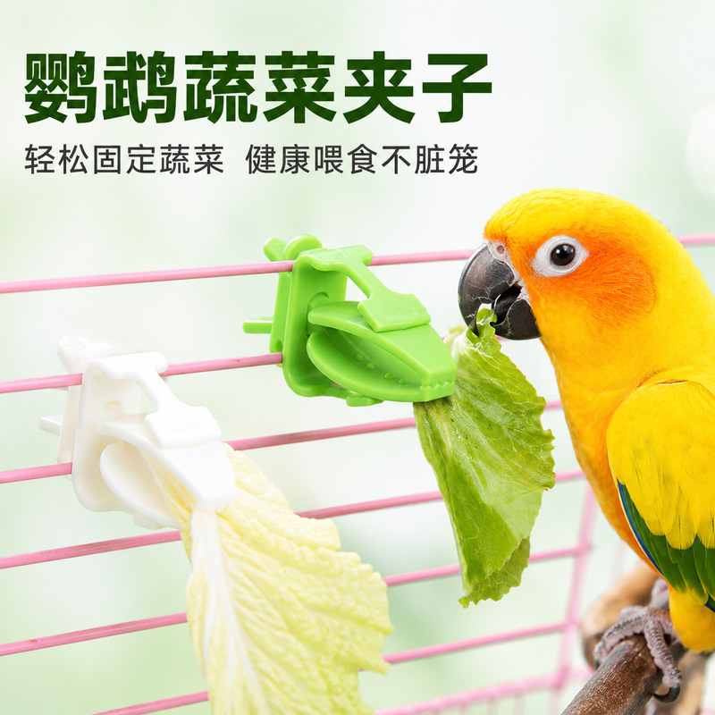 Parrot Vegetable and Fruit Clip, Cuttlefish Bone Pet Clip, Snack Clip, Bird Cage Multifunctional Food Clip