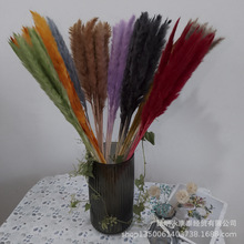 ������С«έ�ɻ������Ҿ�װ�α��ʻ�DIY������˽ڻ�����������