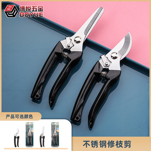 �@ˇ�����޼���֦�������P䓻�ˇ����֦���������֦�@���辰����
